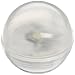 Fortune Products FB-1T Fairy Berries Magical LED Light, 3/4" Diameter, Teal (Case of 10)