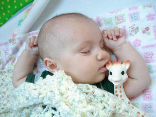 Vulli Sophie the Giraffe Teether