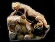 Carving Reptile, Shou Shan Mountain Stone, Natural