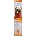 Princeton Real Value Series 9000 Orange Handled Brush Sets 9155 set of 5