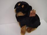 Ethan Rottweiler