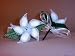 Jordan Almond Flowers Wedding Favors