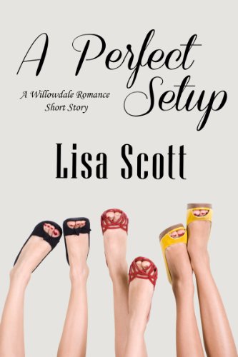 A Perfect Setup (The Willowdale Romance Short Story Collection Book 3)