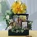Dog Get Well Gift Basket : Basket Theme BIRTHDAY : Bow Style Elegant Hand Tied Bow