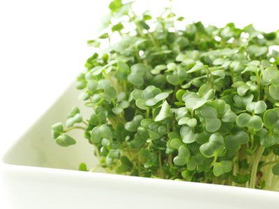 Oishiina Shop　ブロッコリースプラウト　1ケース　500g前後　10パック前後