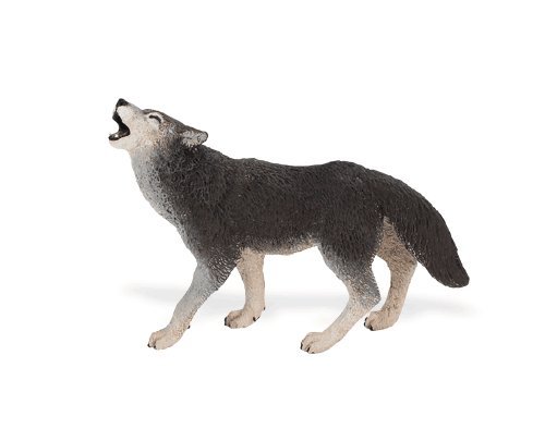 Safari: Wolf 414s9nACFIL Safari: Wolf