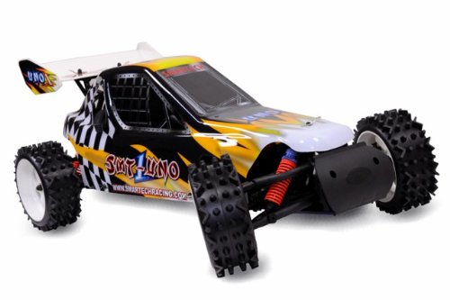 Amewi 22088 - Buggy Spider 23 ccm 2,4 GHz M 1:5 RTR