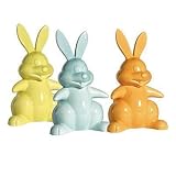 BUNNY COOKIE JAR ／バニークッキージャー（グリーン） : 鳥光桃代