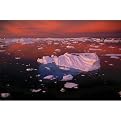 Lemaire Sunset (Antarctica) Gallery Wrapped Canvas - 22x28"