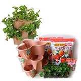 いちご栽培セット：ハーベリーポットといちご苗9株ほうこうわせ（宝交早生）[狭い場所に]