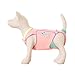 Chihuansie Bark Deco Full-Body Onesie Designed for Small Dogs to Hygienically Absorb and Contain Urine (L)