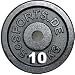 ScSPORTS HANTELSCHEIBE 2 X 10 KG = 20 KG VON ScSPORTS / GUSSEISSEN MIT 30 MM BOHRUNG
