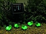 Frog Solar Lights