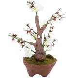 光触媒アート盆栽･梅(白) UME-01 UME