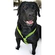Natural Hemp Corduroy Dog Harness: Blue (Small)