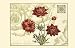 Giardino Del Fiore I - Vision studio Art Print Poster 28 x 18 Image