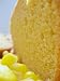 Wholegrain Cornbread