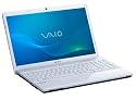Sony Vaio VPCEE2M1E/WI 39,4 cm (15,5 Zoll) Notebook (AMD Athlon P320 2,1GHz, 4GB RAM, 500GB HDD, ATI HD 4250, DVD, Win 7 HP) weiss/silber