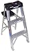 Tools & Hardware : Werner 3-Foot 300 Pound Duty Rating Aluminum Stepladder Model #373