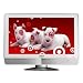 Vizio 20" 720p LCD HDTV - VXW20L-HDTV