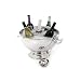 Star Home Georgian 5-Bottle Holder with Ladle