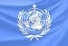 Who Flag - 24