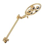Danze 7-Inch Spinning Showerhead with 5 Spinning Spray Heads Polished Brass #D464431PBV