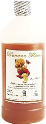 Banana Extract - 1 quart