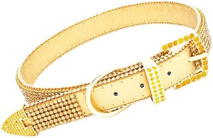 Vanderpump Pets The Giggy 2015 Commemorative Gold Dog Collar, Medium