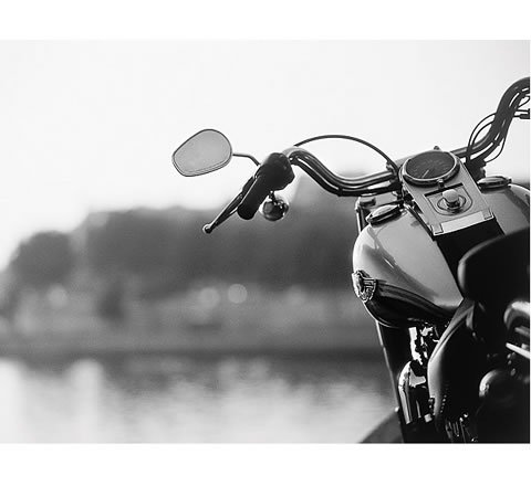 Kitchen: Harley Black and White Mural