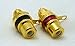 2 Philmore Gold-Plated RCA Panel Mount Jacks with Teflon Insulator, Red & Black