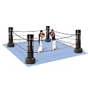 Portable Ring Ropes
