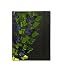Markings by C.R. Gibson Butterflies Bookbound Journal, Black (MGG-8122)