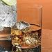 Riedel H2O Whiskey/Double-Old Fashioned Glass, Set of 2