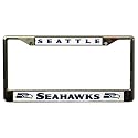 Rico Detroit Lions Chrome License Plate Frame