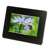 Micca M701 7-Inch Digital Photo Frame (Black) ~ Micca