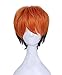 Dazcos Unisex Fox Nick Wilde Orange Black Short Wig Cosplay Costume 32CM