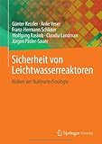 Sicherheit von Leichtwasserreaktoren: Risiken der Nukleartechnologie