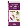 New York State Wildlife: An Introduction to Familiar Species (State Nature Guides)