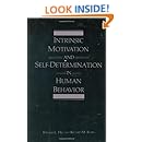 Intrinsic Motivation and Self-Determination in Human Behavior (Perspectives in Social Psychology)