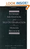 Intrinsic Motivation and Self-Determination in Human Behavior (Perspectives in Social Psychology)