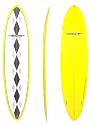 "Stepping Stone" Funboard