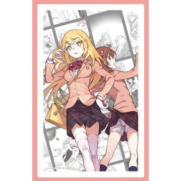 一番くじプレミアム 鎌池和馬の祭典 シリーズ第二弾 とある魔術の禁書目録10周年記念 D賞 アートフレーム 食蜂操祈&御坂美琴 単品