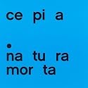 Natura Morta