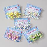 Eva Firework Bow(pack Of 72)