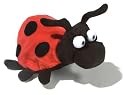 Ladybug Life Cycle Reversible