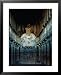 Interior of Hinayana Buddhist Caves, Ajanta, Maharashtra, India Places Framed Art Pos...