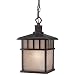 Hanging Outdoor Pendant
