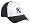New York Yankees Freshman Fitted Cap (Medium)