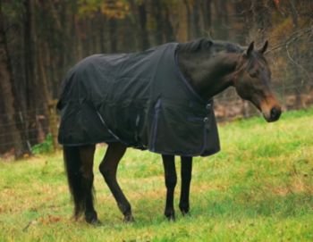 TuffRider 1200 Denier Turnout Sheet 78 Black